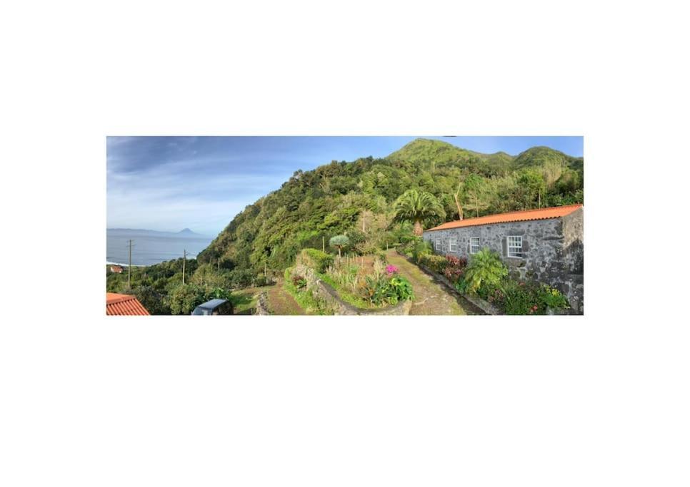 Vistalinda Farmhouse Faja dos Vimes Exteriér fotografie