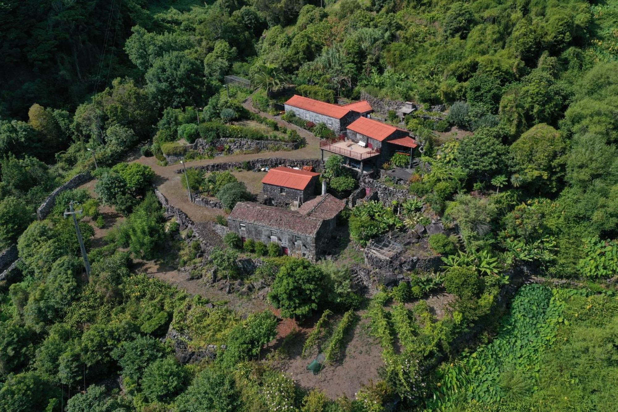 Vistalinda Farmhouse Faja dos Vimes Exteriér fotografie